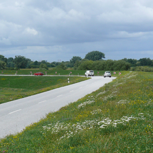 Auf dem Weg zu beeken Gartenbau