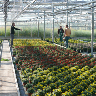 Arbeiten unter Hochglas